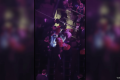 Man falls to death during Goose concert at Madison Square Garden, NYPD says