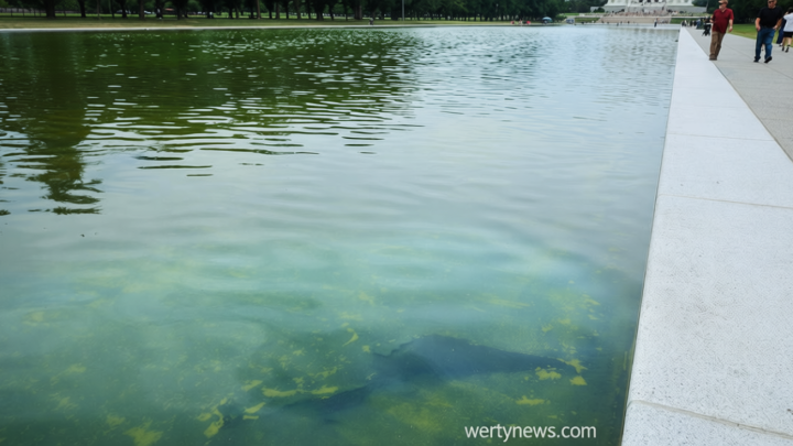 Rips appear in Reflecting Pool’s new sealant, chosen by Trump, after algae turn water green