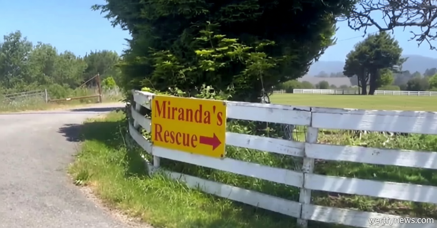 Mass graves with remains of over 100 dogs found at Northern California animal rescue