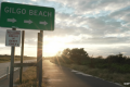 Long Island serial killings: A timeline of the investigation
