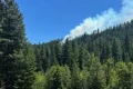 Fighter jet crashes in Washington state, sparking wildfire