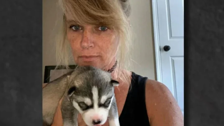 Barking dogs at Iowa kennel provide key evidence in murder case