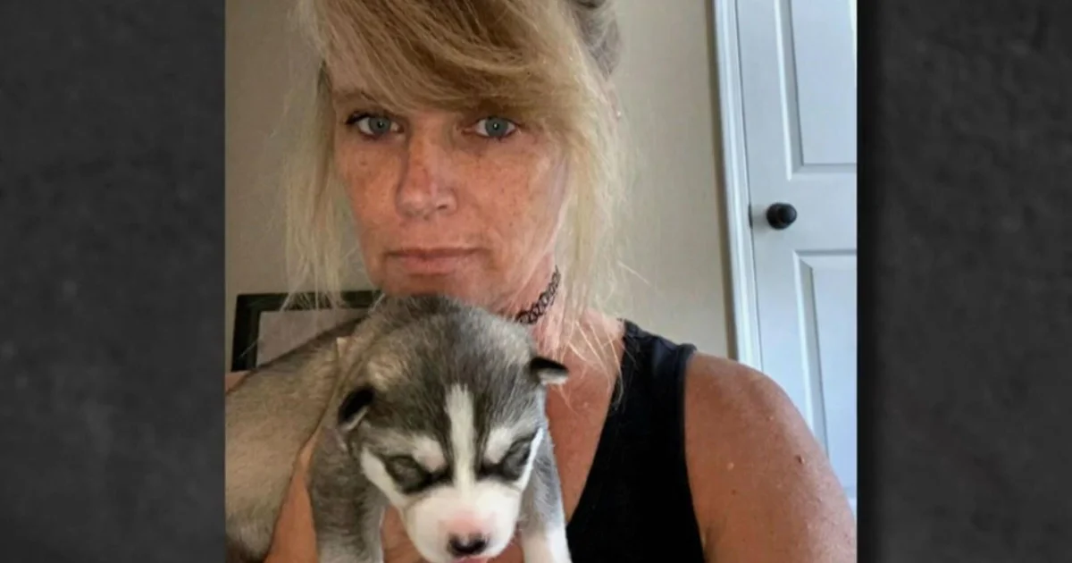 prichard-puppy