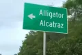 Detainees moved out of “Alligator Alcatraz” over hurricane concerns, ICE says