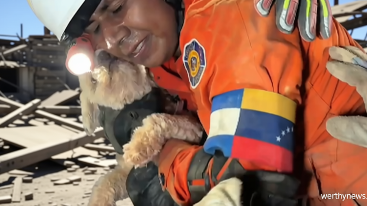 Dog rescued alive from rubble 5 days after Venezuela earthquakes, video shows