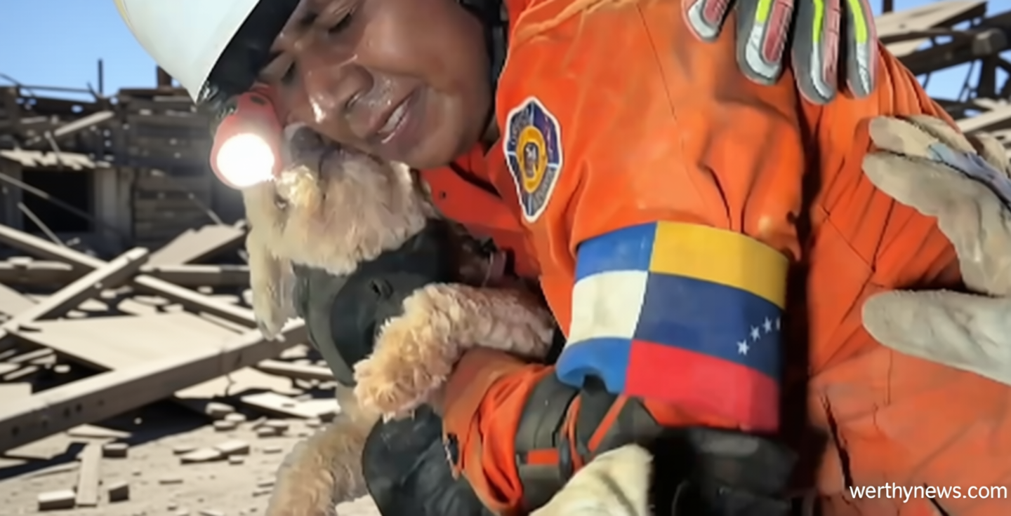 Dog rescued alive from rubble 5 days after Venezuela earthquakes, video shows