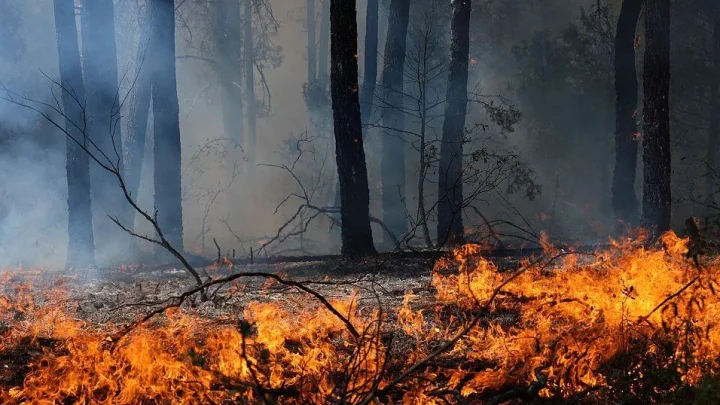 Wildfires in France and Spain force 267,000 to flee as crews continue to battle untamed blazes