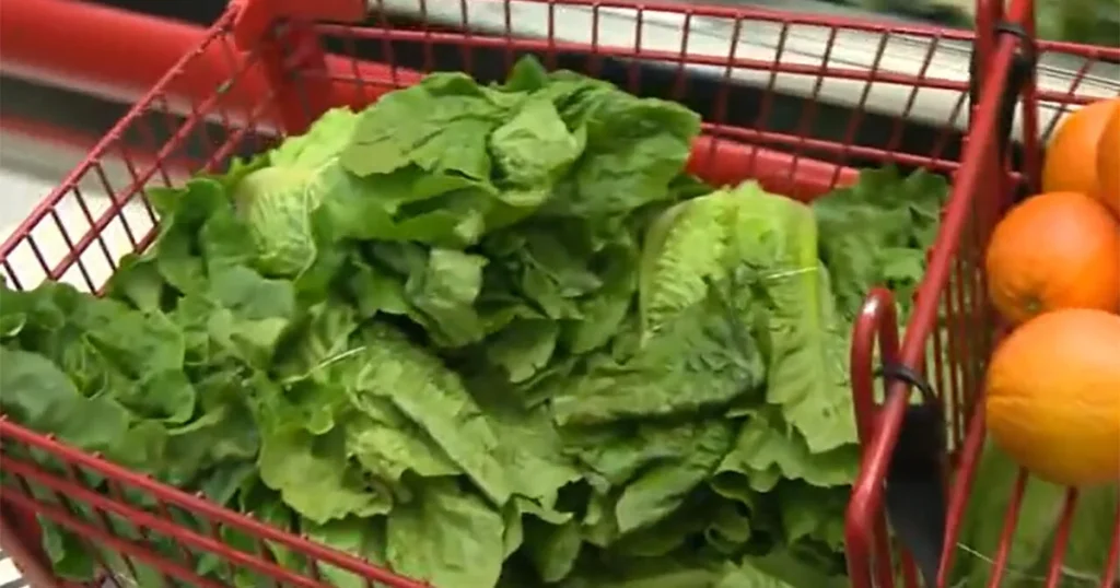 lettuce