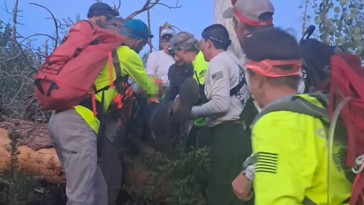 83-year-old man who went missing near Grand Canyon rescued after overnight search