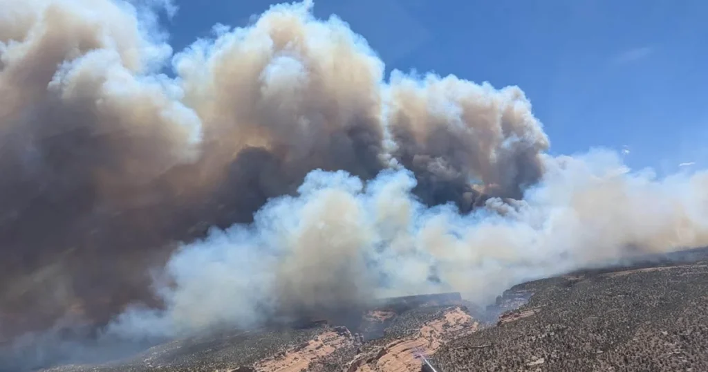 synder-fire-2-u-s-wildland-fire-service