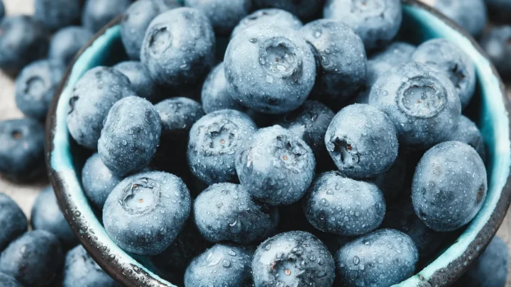 FDA upgrades recall of frozen blueberries sold at Publix to highest health risk level